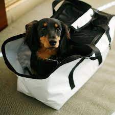 want for rose 犬 犬 キャリーバッグ 小型犬