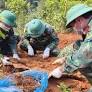 Sweden Employs Digital Technology and AI to Preserve History and Identify Fallen Soldiers