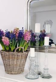 hyazinthen bringen tolle farben und fischen fruhlingsduft ins haus fresh ideen fur das interieur dekoration und landschaft fruhlingsdekoration dekoration fruhlingsblumen