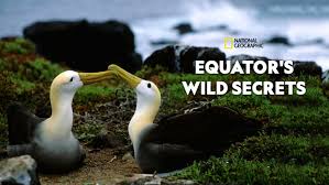 Keistimewaan garis khatulistiwa yang membelah indonesia in sampai menginspirasi salah satu band kenamaan indoensia untuk membuat lagu berjudul nadi khatulistiwa, sebelum melanjutkan pembahasan, ayo simak lagunya. Equator S Wild Secrets Disney Hotstar Premium