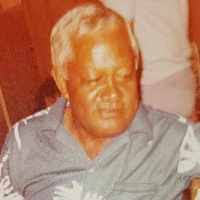 Levi Michael Perkins Sr. (1914–1995)