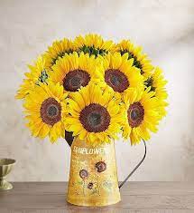 Sunflowers Flower Delivery Plant Gifts Sunflower Bouquets