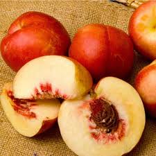 Image result for Nectaropetalum carvalhoi