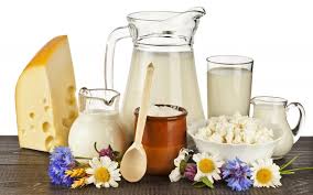 Image result for dairy products