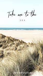 Beautiful Doggie Beach Near St Ives Cornwall Beaches Dog Friendly Beach Dog Friendly Holidays