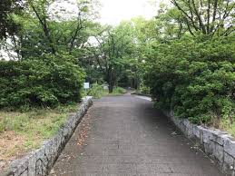 横浜時報 on instagram 阿久和団地の十字路からもっとも近い 阿久和蟹沢公園への入り口 阿久和蟹沢公園の裏庭のような場所で 春になると桜を楽しめる箇所 現在は健康器具などが設置されて 以前のような場所とは変わってしまった 横浜時報 阿久和団地 阿久和