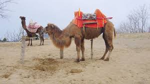 If i want, for example, to have several of my routes to be status aware, how might i achieve this? Camel Wikiwand