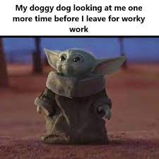 So I Saw One Saying Me Looking At My Doggy Dog But I Felt This Would Have Been Better R Babyyoda Baby Yoda Grogu Yoda Funny Yoda Meme Funny Relatable Memes