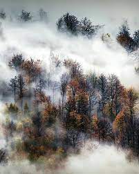nony y29 nony y29 nony y29 nony y29 nony y29 nony y29 food cool video nice photo nature scenery nature photography