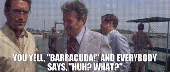 images?q=tbn:ANd9GcRS-0u_OKcUeJFAmfSg1kI