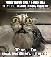 19 Funny Stress Memes Gallery Stress Quotes Funny Funny Parenting Memes Funny Pictures