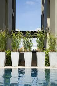 Google Image Result For Http Images Fineartamerica Com Images Medium Large Potted Plants By Swi Plants Around Pool Best Potted Plants Landscaping Inspiration