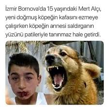 Hatice Pala Adli Kullanicinin Bilgi Panosundaki Pin Gelinler