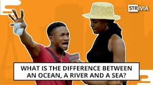 There are seven seas while there are 165 major rivers in the world. What Is The Difference Between An Ocean A River And A Sea Pulsetv Strivia Youtube