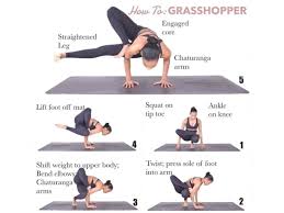 Your shin does not have to be parallel with the short side of the mat, says sage rountree, phd, author of everyday yoga. Grasshopper Pose Step By Step Instructions And 10 Benefits Fitzabout