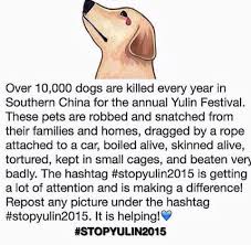 I M Sorry But This Will Never End That Is How The World Is You Can T Change Every Injustice That Occurs And Then There Are People Like Yulin Cruel Dogs