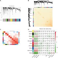 24 posts related to fiance visa form fc 029. Frontiers Identification Of A Novel Transcription Factor Prognostic Index For Breast Cancer Oncology