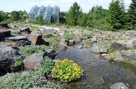 Albrechtstraße 29, 49076 оснабрюк, германия. Quermania Botanischer Garten Der Universitat Osnabruck Sehenswerte Garten Und Parkanlage In Sudniedersachsen