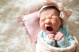 Simply Because Photography (@simplybecausephoto) • Facebook