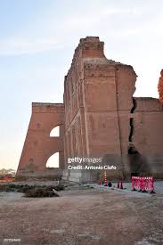 Image result for Craterosiphon quarrei