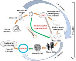 Preclinical studies are important for eliminating potential vaccines that are either toxic or do not induce protective immune responses. Current Global Vaccine And Drug Efforts Against Covid 19 Pros And Cons Of Bypassing Animal Trials Springerlink