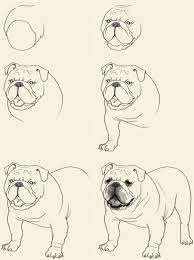 How To Draw A Dog Step By Step Easily Bulldog Drawing Animal Drawings Dog Drawing