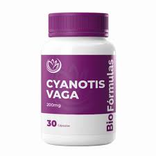 Image result for Cyanotis vaga