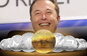 But it's not what you might think. Decentralized Twitter Community Poll Elects Elon Musk As Dogecoin Ceo To Become Fav Cryptocurrency