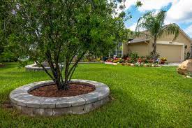 Check spelling or type a new query. The Front Yard Redesign Klassisch Garten Jacksonville Von Pratt Guys Houzz