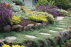 Selecting plants for landscaping hardiness and low maintenance. Pull A Design Together With Ground Covers Finegardening