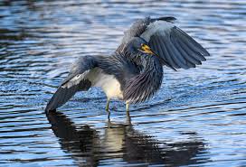 Profile for Jane Conte Photography