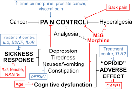 Image result for Cancer Pain