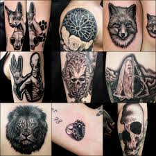 We did not find results for: Sept Tattoo Frejus French Riviera Tattooo Convention Convention Internationale Du Tatouage De Frejus