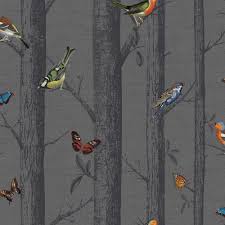 Colourful Birds And Butterflies Wallpaper Multi Birds On Black Birch Tree Wallpaper Epping Forest With Butterflies 12230 Birch Tree Wallpaper Tree Wallpaper Bird Wallpaper