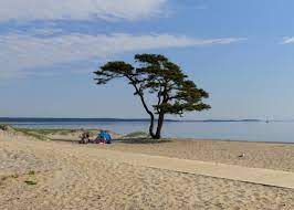 Ägarbytet gjordes i maj 2021 och priset blev 3 650 000 kronor. Ahus Ein Ostseebad Mit Beachhandball Und 3 Schwedischen Sunden