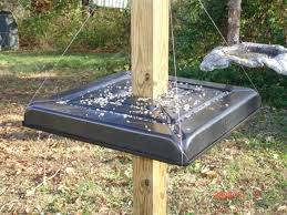 Bird Feeder Pole With Baffle Jiggreen S Image Wooden Bird Feeders Squirrel Baffle Squirrel Proof Bird Feeders
