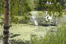 Your browser does not support the audio element. No One Knows How To Pronounce These Places In London Berkshire Live