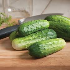 Image result for Cucumis sativus