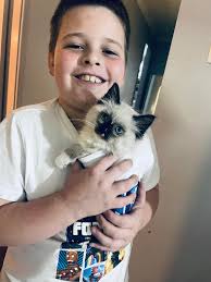 Hey guys This last week or so I've noticed a change in Loki's personality,  he's always avoided cuddles and doesn't really let you stroke him. He'll  even disappear for a couple of