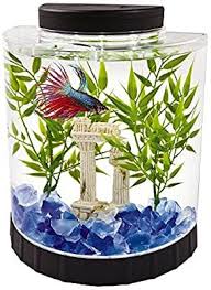 Amazon Com Tetra Led Half Moon Aquarium Kit 1 1 Gallons Ideal For Bettas Black 4 6 X 9 1 X 9 9 Inches 29049 Fish In 2020 Betta Fish Betta Fish Tank Betta Tank