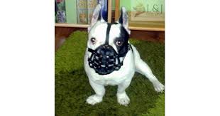 This french bulldog basket muzzle is the best choice of a muzzle for flat nosed dogs like frenchie or pug. Light Leather Dog Muzzle For French Bulldog Frenchies