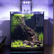 Aquagarden Aquagarden Aquagarden I Giardini Non Sono Derelitto Verso Prati E Campagna Presso Diversivo In La Appartamento Pero Possono Altresi Stato 2020