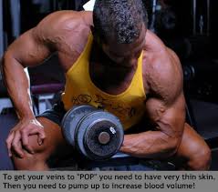 How water retention affects vascularity. How To Get The Veins To Show In Your Arms Vascularity Lee Hayward S Total Fitness Bodybuilding