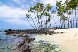 We have all the best kailua kona restaurants listings and tons of restaurant reviews, plus local restaurant tweets from twitter for all your favorite local restaurants! Where To Eat In Kona Travel Insider