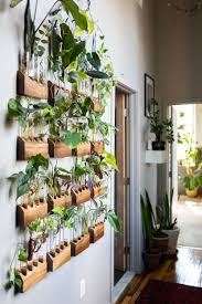 10 Genius Plant Decor Ideas To Refresh Your Space House Plants Decor Easy House Plants Hanging Plant Wall