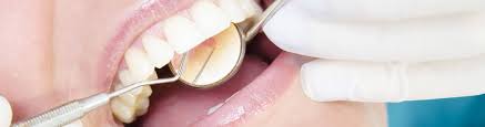 Come experience why our patients think that we are the best family dentist in town for providing quality dental care that families can depend on. Contact Us Amy Everett Dds Morgantown Wv Dentist