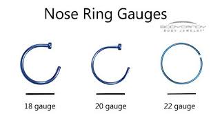Nose Ring Sizing How To Get A Perfect Fit Nose Ring Sizes