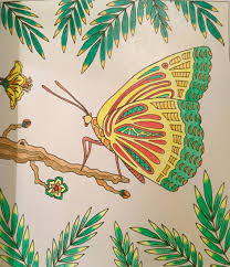Pin By Catherine Tinsley On Nina Taylor Love And Peace Coloring Book Peace And Love Coloring Books Drawings