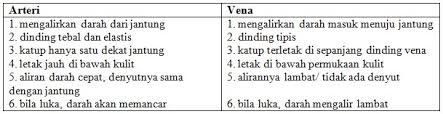 Ada dua jenis sistem peredaran darah. 99 Soal Sistem Peredaran Darah Manusia Pilihan Ganda Pembahasan