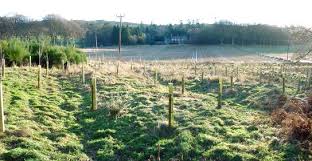 Dunning Parish Historical Society